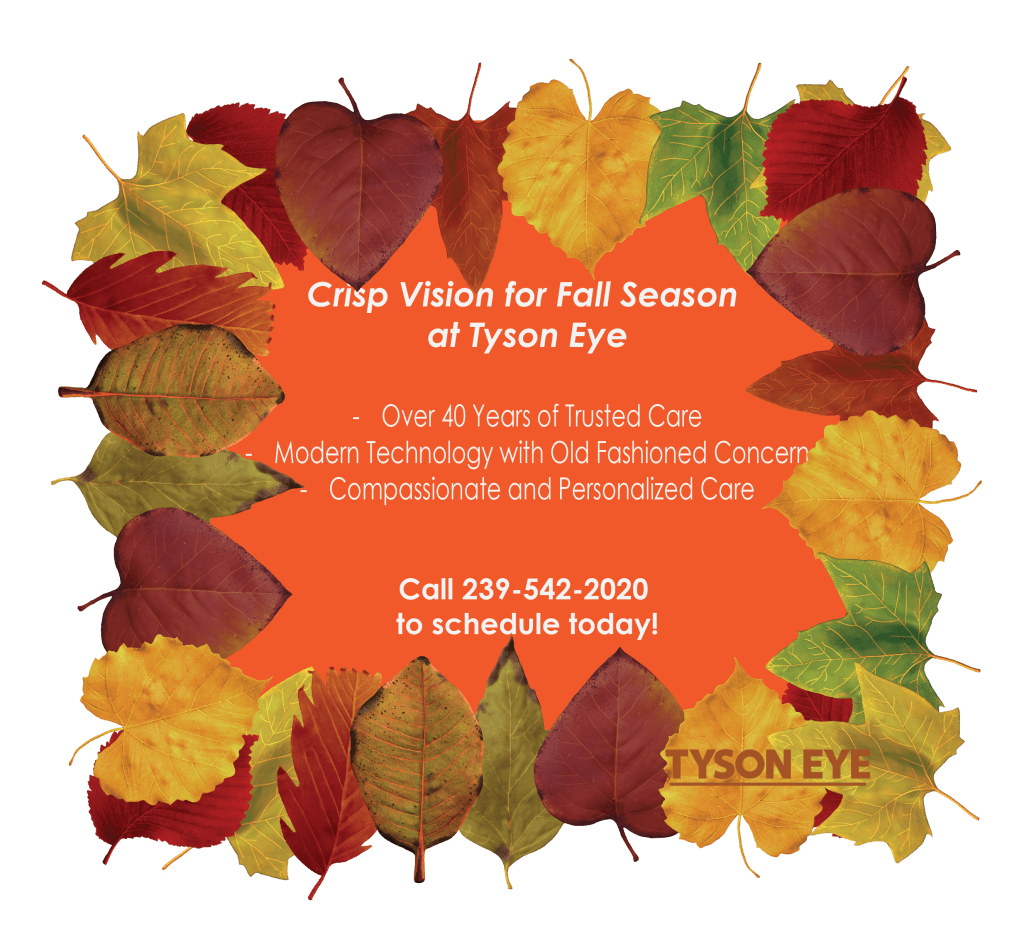 Cataract Fall 2025